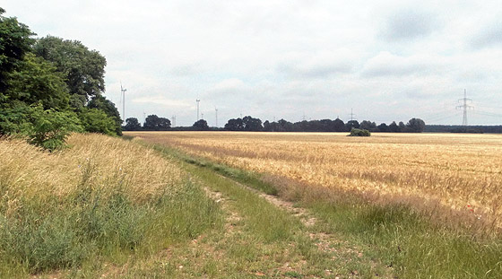 Blick auf die Leue. Foto: Chr. Schmette. 