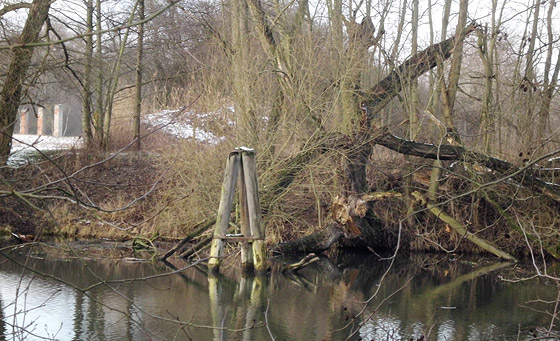 Die Dalben der ehemaligen Anlegestelle der Ziegelei Netzband sind heute noch vorhanden