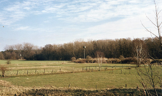 Blick vom Neuderbener Bahndamm zum ehemaligen Standort der Ziegelei Loeber. Foto: Chr. Schmette.