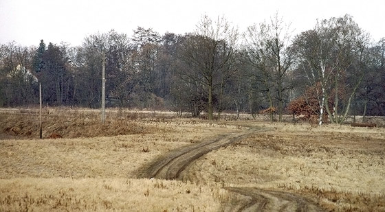 Blick vom alten Deich auf das ehemalige Gelände der Ziegelei. Foto: Schmette.