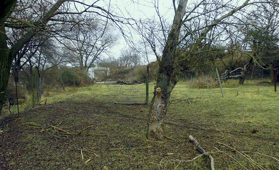 Blick auf die ehemalige Ziegelei Stutzer Auf der Lmmerweide. Foto: Chr. Schmette. 