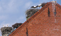 Abbendorf Bild zum Adressbuch Ziegeleien