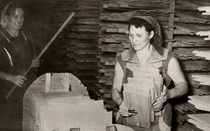 Frauen bei der Arbeit um 1955