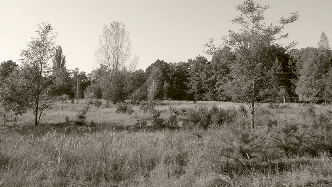 Ehemaliges Gelaende Stolper Ziegelei Blick Richtung Havel am Wasserwerk Pankow von 1911