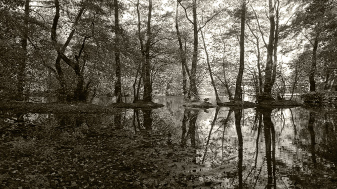 Ehemalige Verladestelle der Werder Ziegelei an der Havel